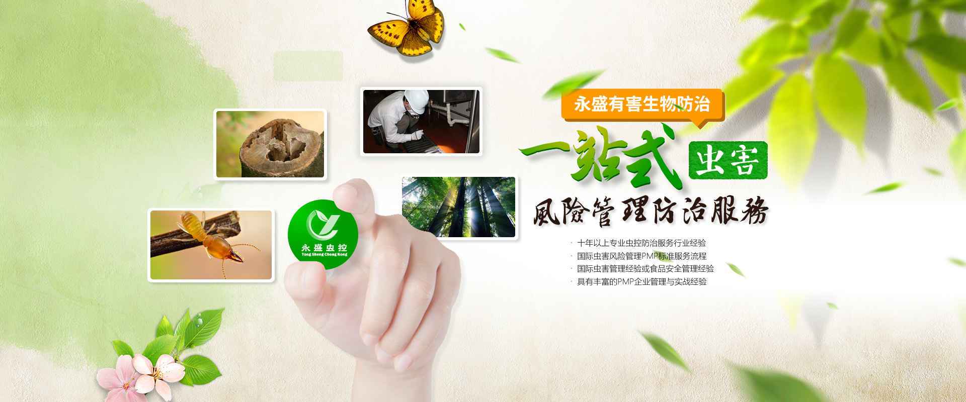 中山除甲醛，中山滅白蟻公司網(wǎng)站banner圖