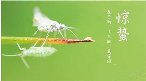 春天已到，需要做好蟲害防治工作